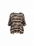 Brown Zebra