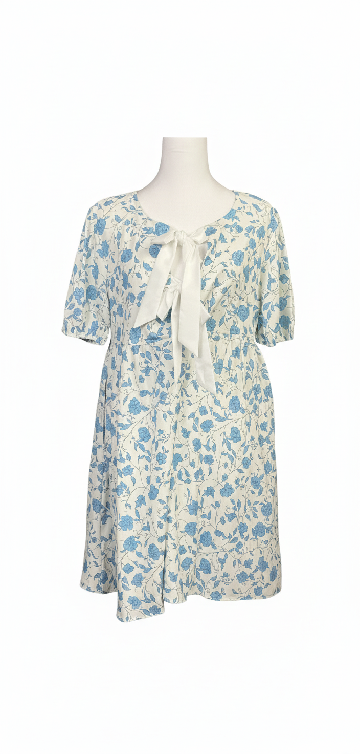 Sky Blue Floral Dress